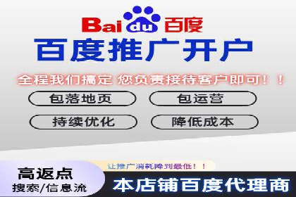 百度竞价赚钱技巧：实战案例分析